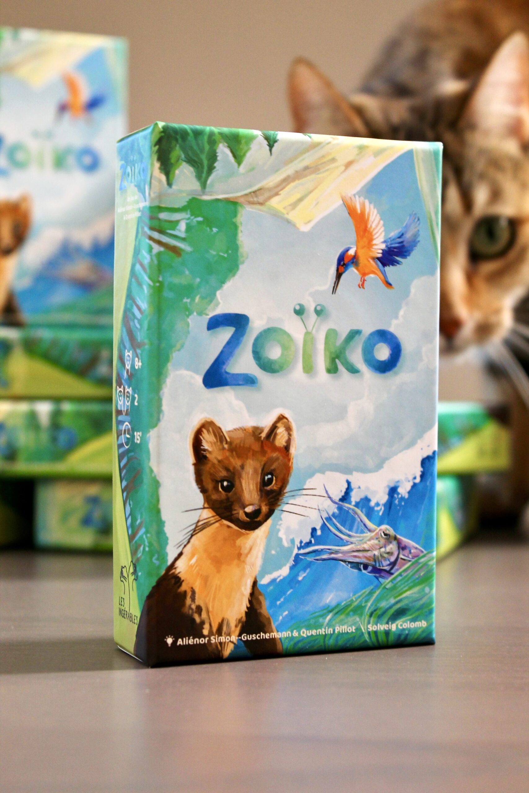 La boîte de Zoïko