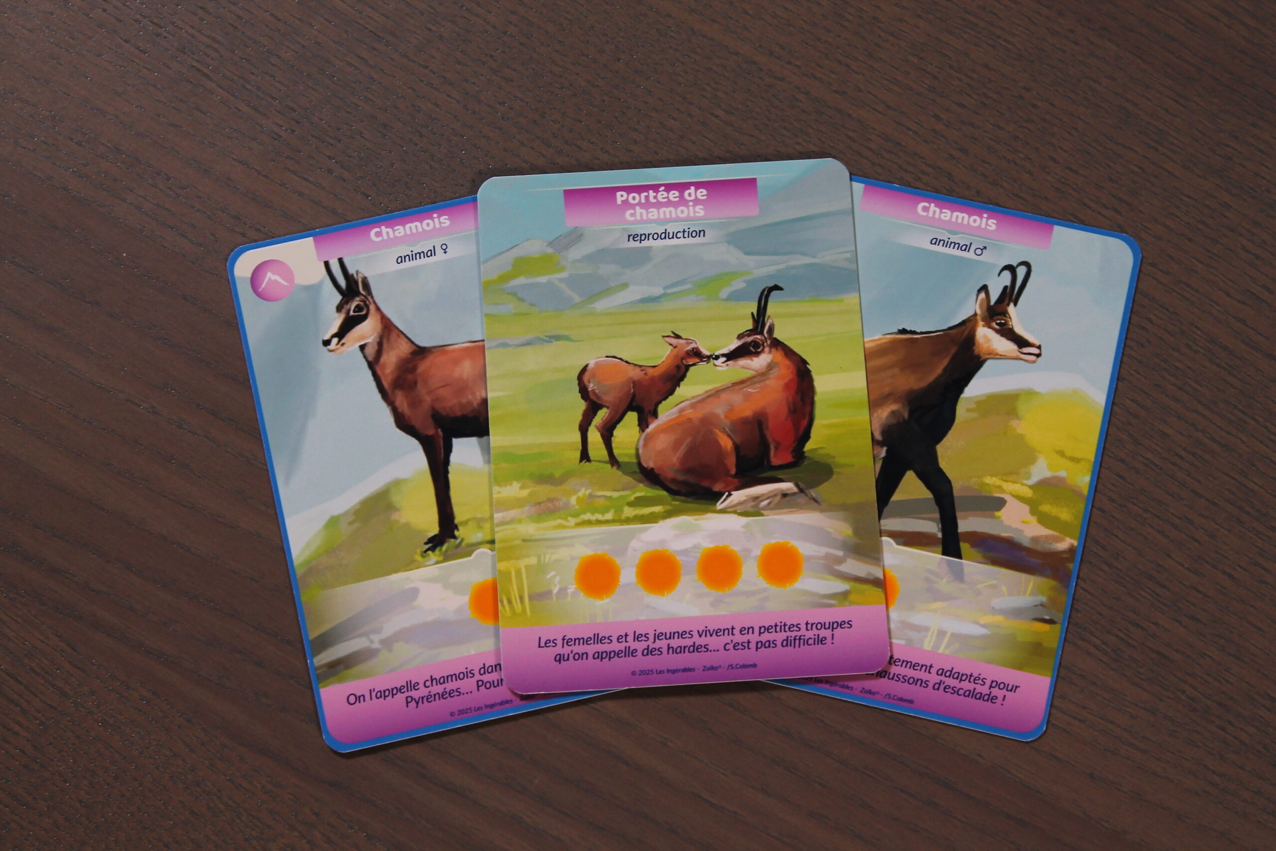 Les cartes chamois de Zoïko, illustrées par Solveig Colomb